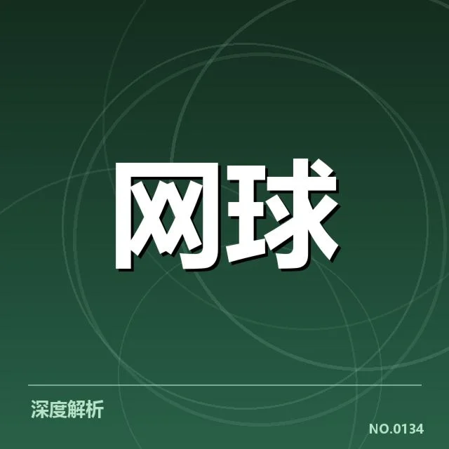 郑钦文出战赛事及数据核实